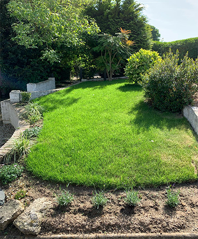 Eden Lawn and property solutions