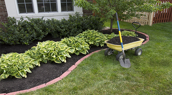 Eden lawn And property Solutions
