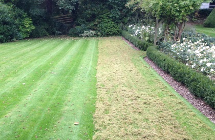 Eden lawn And Property Solutions