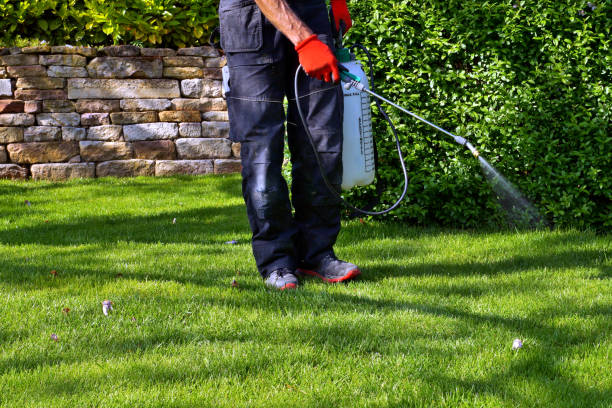 Eden lawn And Property Solutions