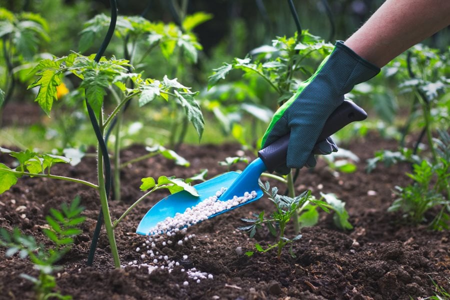 Eden lawn And Property Solutions