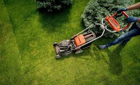 Eden lawn And Property Solutions
