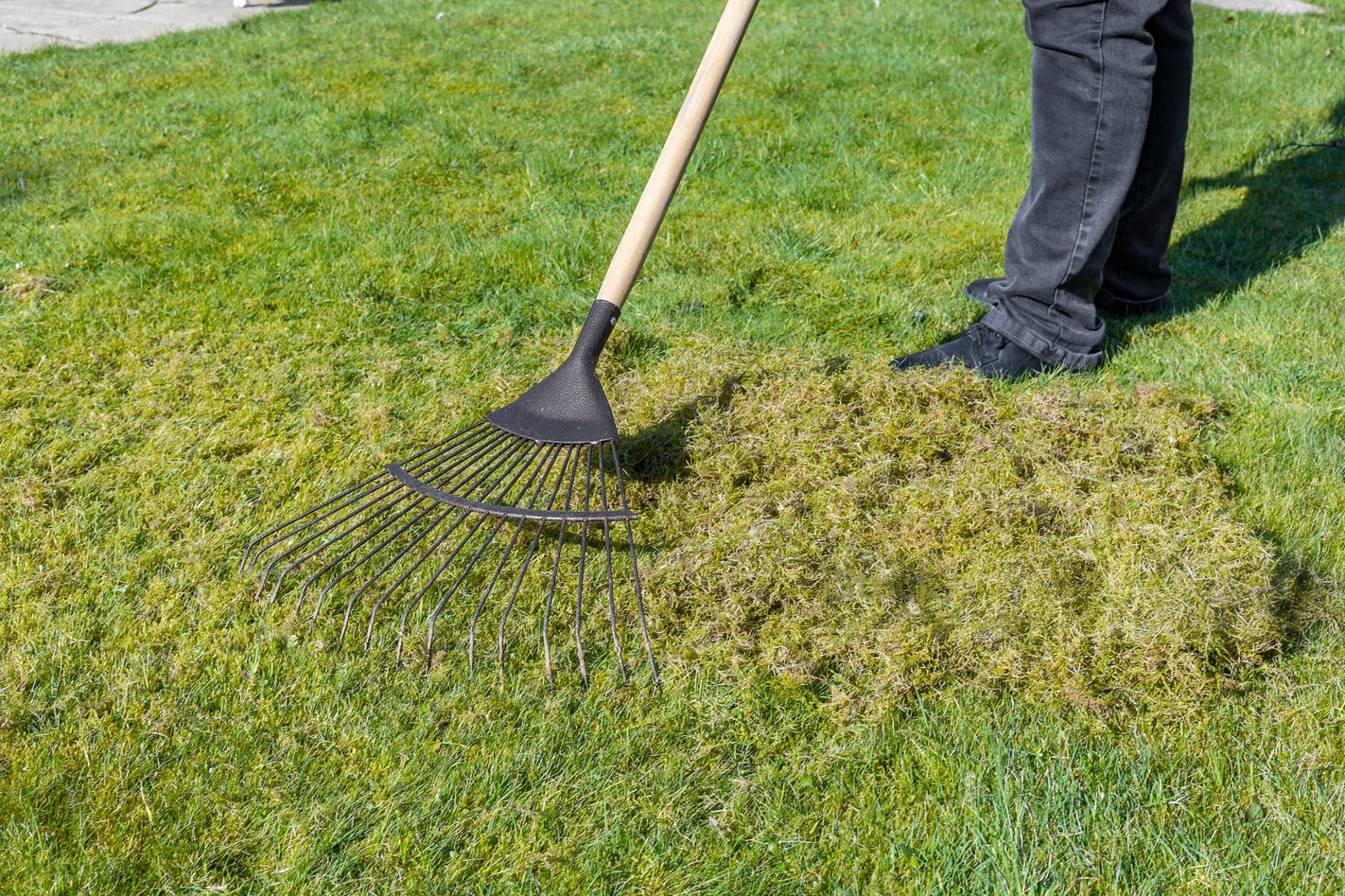 Eden lawn And Property Solutions