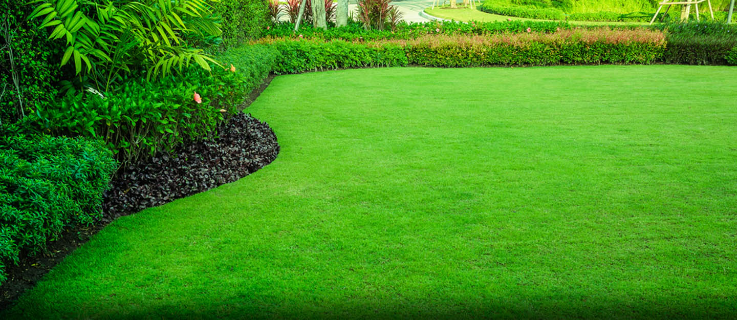 Eden lawn And Property Solutions
