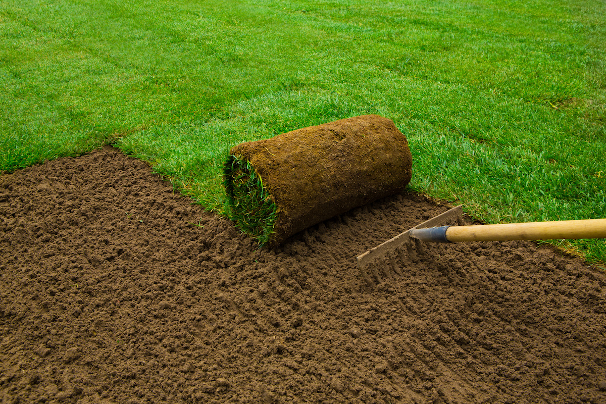 Eden lawn And Property Solutions