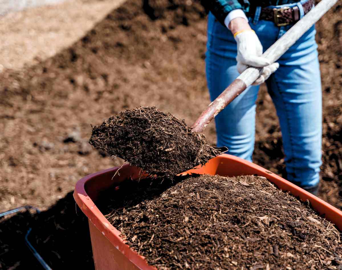 Eden lawn And Property Solutions